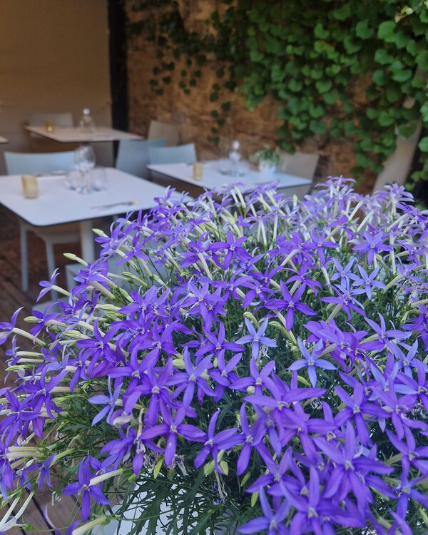 Patio terrasse Le Cercle Rouge